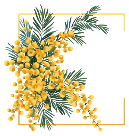 ���л�ɫ��ϻ���������װ�ο��PNG���ͼ