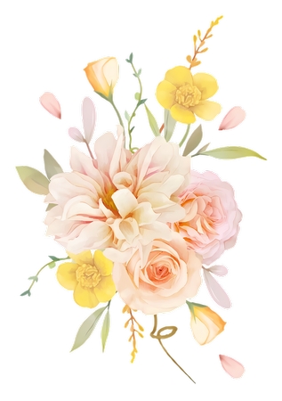 ��ɫ�ͷ�ɫ���� arrangementPNG���ͼ