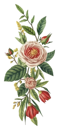 �����Ļ��ղ���PNG���ͼ