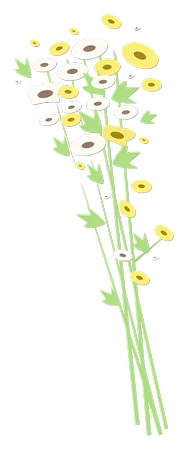 �򵥻��仨���廭PNG���ͼ