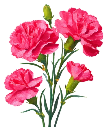 ����ܰ���� - ʢ���ķ�ɫ����ܰPNG���ͼ