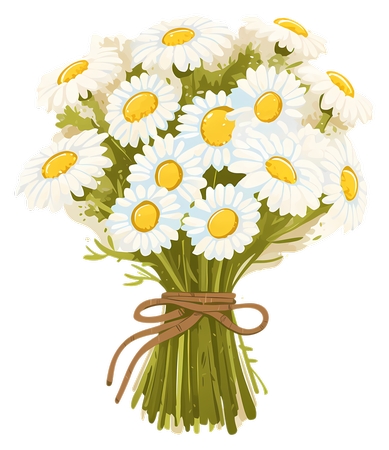 Daisy Bouquet - �� Daisy ����PNG���ͼ