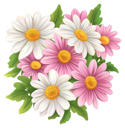 Daisy Bouquet - ���޵ķ۰׳�����PNG���ͼ