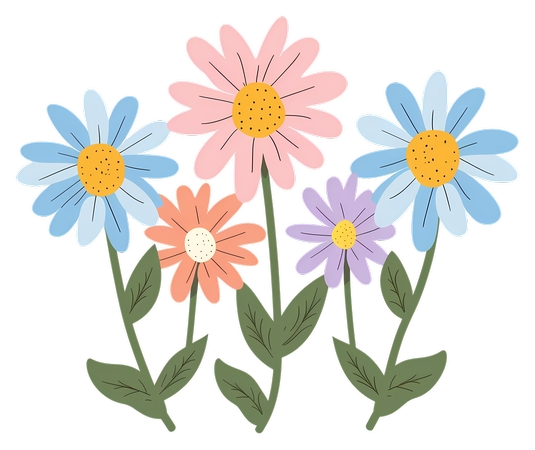 Daisy Bouquet - ��ʳ��ջ��廭PNG���ͼ