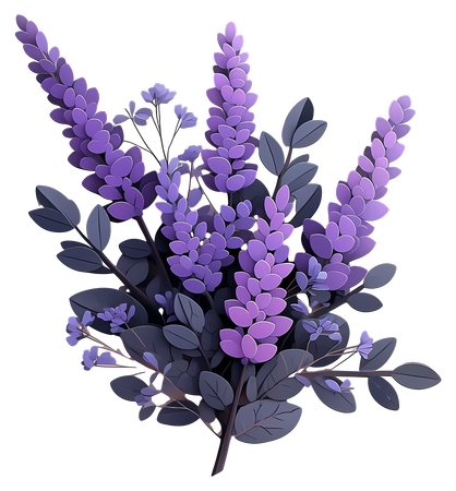 ޹�²����� - ��Ҷ�ӵ�޹�²���PNG���ͼ