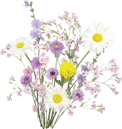Ұ������ - ����Ұ����ɵ�Ұ������PNG���ͼ