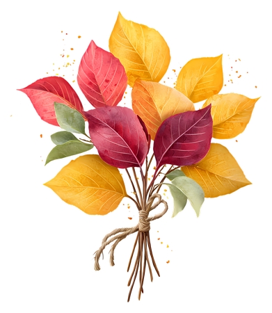 ����ϵ�ŵ���Ҷ - �����Ҷ����PNG���ͼ