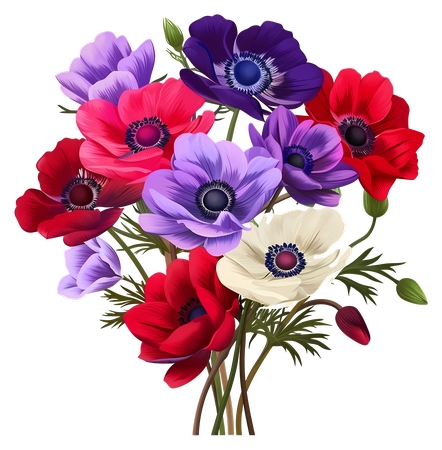 ���Ż��� - ��ʷ����ӻ����廭PNG���ͼ
