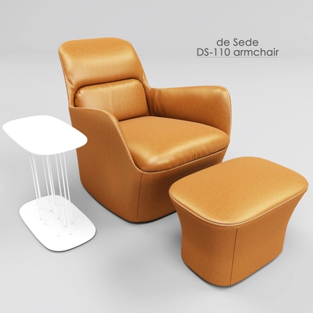 de Sede DS-110 ������3Dģ��