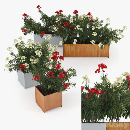 ���λ�����Ļ���3Dģ��