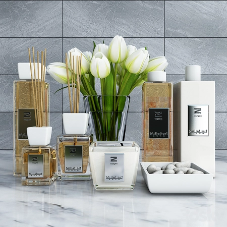 ԡ��װ����װ2 3Dģ��