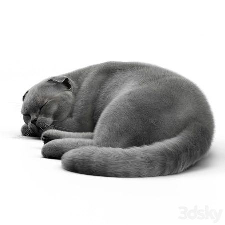 ��ɫ��˯����è3Dģ��