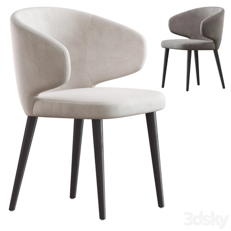 ��ɫ���з�����3Dģ��