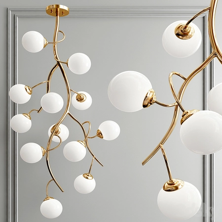 ����֦����3Dģ��