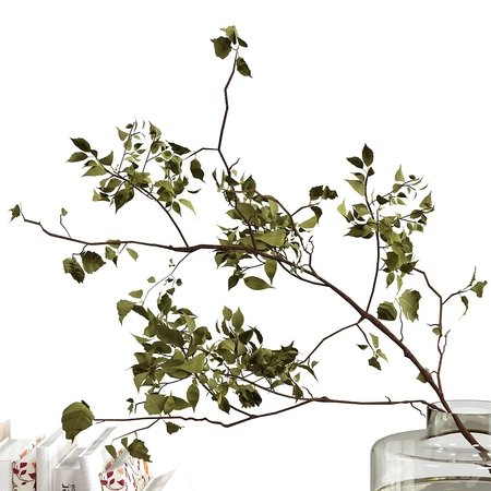 װ������װ�������鼮��ֲ��3Dģ��